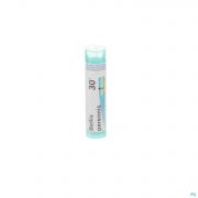Boiron Unda granules Bellis Perennis 30 K 4 g - Vue détail 1