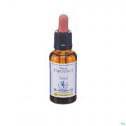 Healing Herbs White Chestnut 30 ml - Vue détail 1