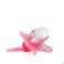 Nuby Cl geo Sucette Ortho 6-18 Mois Rose