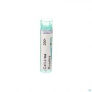 Boiron Unda granules Calcium Fluoratum 200 K - Vue détail 1