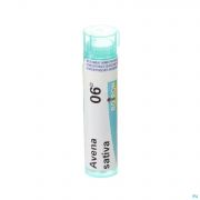 Avena Sativa 06D gr 4G Boiron - Detail 1
