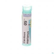 Carduus Marianus 5Ch gr 4G Boiron - Detail 1