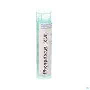 Phosphorus Xmk Gr 4g Boiron