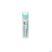 Lycopodium Clavatum 6K gr 4G Boiron - Vue détail 1