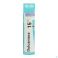 Dulcamara 15Ch gr 4G Boiron