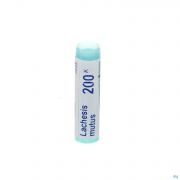 Lachesis Mutus 9ch Gl Boiron