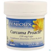 CURCUMA PROACTIF 90 CAPS