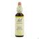 Bach Flower Remedie 21 Mustard 20ml