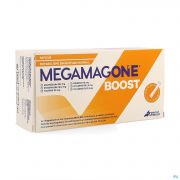 Megamagone Boost - Detail 1