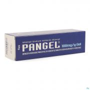 Pangel 10% Gel Tube 60g Nf