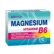 Go Vital Govital Magnesium Vitamine B6 Blister Comp 3X15 - Detail 1
