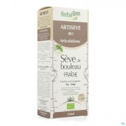 Herbalgem Artiseve Bio Fl 250Ml - Detail 1