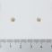 Bio Pycnogenol Pharma Nord 120 + 30 Capsules - Aspect 2