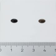 Pharma Nord Bioactive Q10 50Mg 20 Caps - Uiterlijk 2