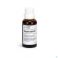 Euphorbium Comp.s Drupp 100Ml Heel - Product 1