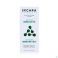 Incara Solutions Incara Solution Immunite 250 ml - Vue détail 2