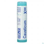 Boiron Unda globules Causticum Hahnemanni Xmk - Vue détail 1