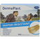 Dermaplast Water Resistant 19x72mm 100