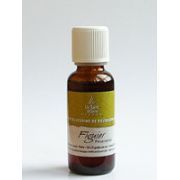 FIGUIER MACERAT GLYCERINE 15 ML       