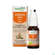 Herbalgem Energem Spray gc28 Bio Compl. Energ.10Ml - Detail 1