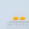 Pure By Solidpharma Pure Curcuma+ Tabl 60 - Uiterlijk 1