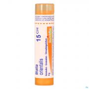 Blatta Orientalis 15Ch gr 4G Boiron - Detail 1