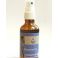 Bioholistic Diffusion Bourrache Huile Vegetale Bio 50 ml