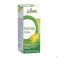 Drainage Muizenoor 60Ml Boiron