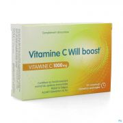 Will Pharma Vitamine C Will Boost Caps 20 - Detail 1