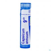 Boiron Unda granules Capsicum Annuum 9 Ch - Vue détail 1
