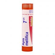 Apis Mellifica 7Ch gr 4G Boiron - Detail 1