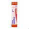 Boiron Unda granules Apis Mellifica 7 Ch - Vue détail 1