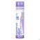 Arsenicum Album 30Ch gr 4G Boiron - Detail 1