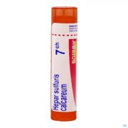 Hepar Sulfuris Calcareum 7Ch gr 4G Boiron - Detail 1