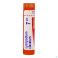 Lycopodium Clavatum 7Ch gr 4G Boiron - Detail 2