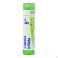 Lobelia Inflata 5Ch gr 4G Boiron - Detail 2