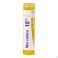 Nux Vomica 15ch Gr 4g Boiron
