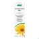 A. Vogel Vogel Arnicaforcemed Forte gel 100 ml - Vue détail 2