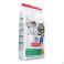 Hills Pet Nutrition Science Plan Feline Kitten Chicken 3Kg - Detail 2