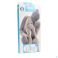 Botasol Ceinture H36 Blanc L - Vue détail 2