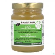 Pranarom Aromaforce Bio grog Voies Respiratoires Bio 100 ml - Vue détail 1