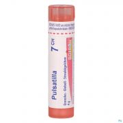 Pulsatilla 7Ch gr 4G Boiron - Detail 1