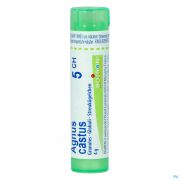 Agnus Castus 5Ch gr 4G Boiron - Detail 1