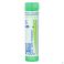 Agnus Castus 5Ch gr 4G Boiron - Detail 1
