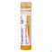 Causticum Hahnemanni 15Ch gr 4G Boiron - Detail 1