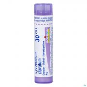 Lycopodium Clavatum 30Ch gr 4G Boiron - Detail 1