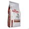 Royal Canin gastro Intestinal Chien 2 kg - Vue détail 1