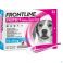 Frontline Protect Spot On Opl Hond 10-20Kg Pipet 3 - Detail 1