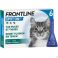 Frontline Spot On Chat 10% Pipet 6x0,50ml