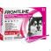 Frontline Protect Spot On Opl Hond 40-60Kg Pipet 3 - Product 1